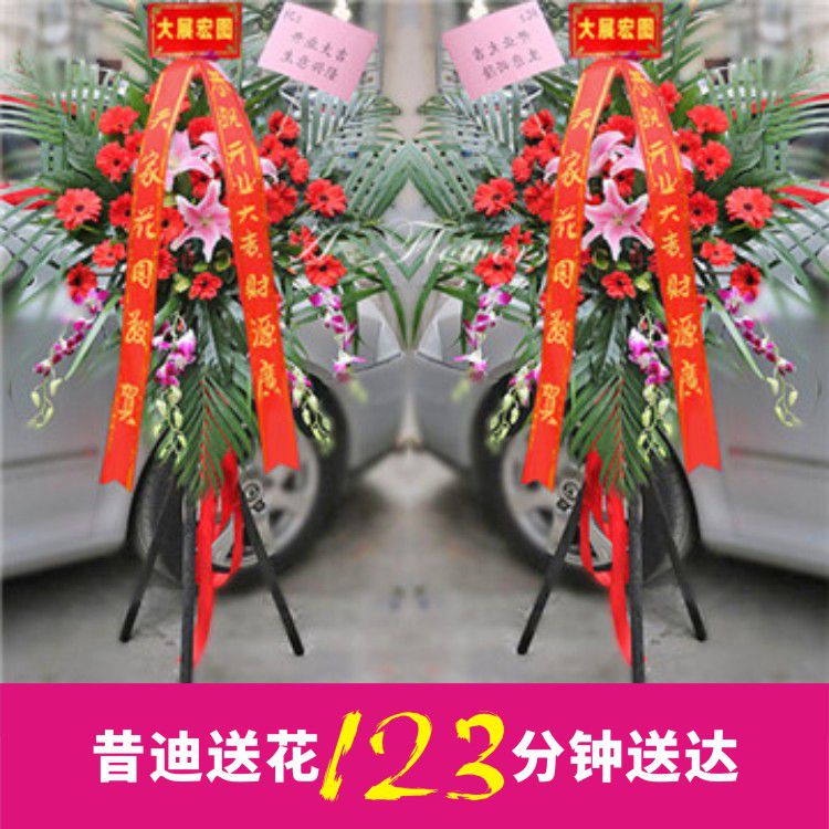 開業(yè)花籃D款（一對(duì)共2個(gè)）